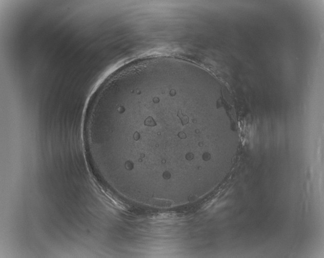 X0000064730196200602101158