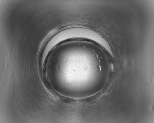 X0000064730197200602101158