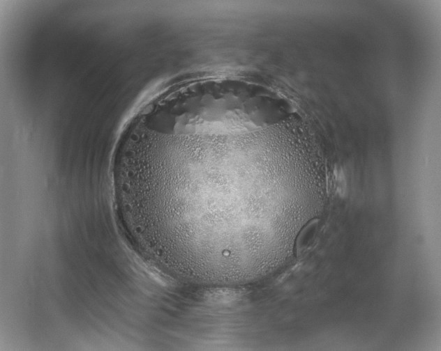 X0000064730198200602101158