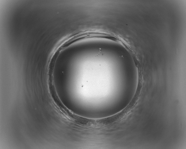 X0000064730199200602101158