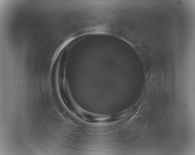 X0000064730200200602101158