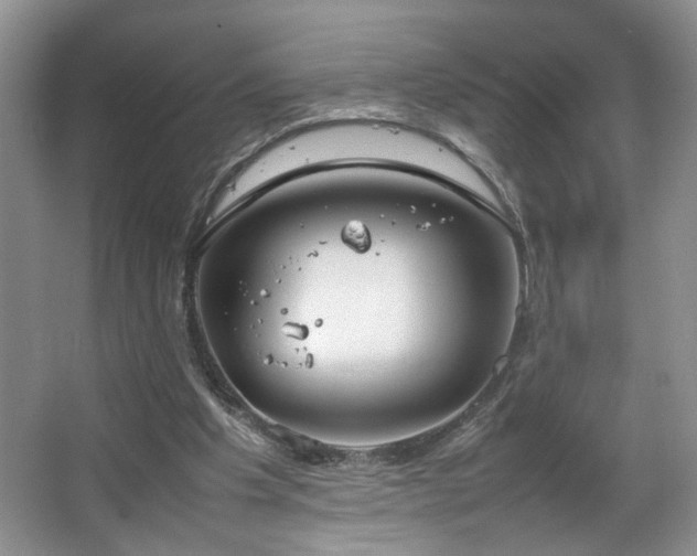 X0000064730201200602101158