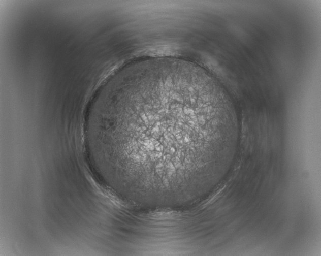 X0000064730202200602101158