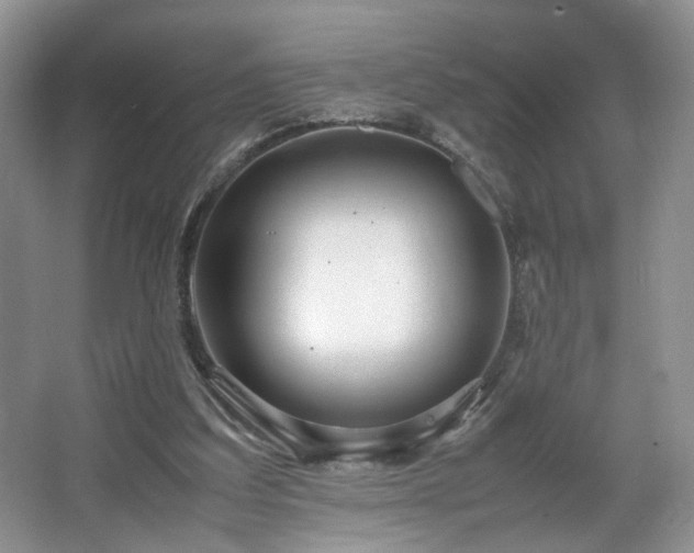 X0000064730203200602101158