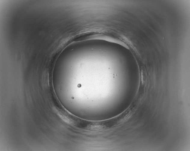 X0000064730205200602101158