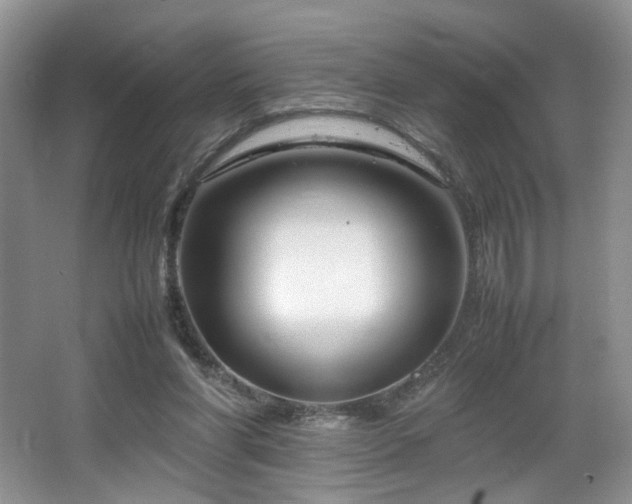 X0000064730206200602101158