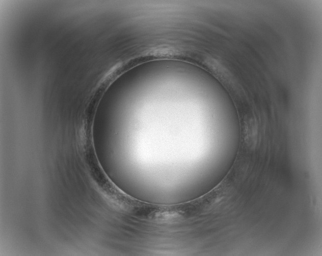 X0000064730208200602101158