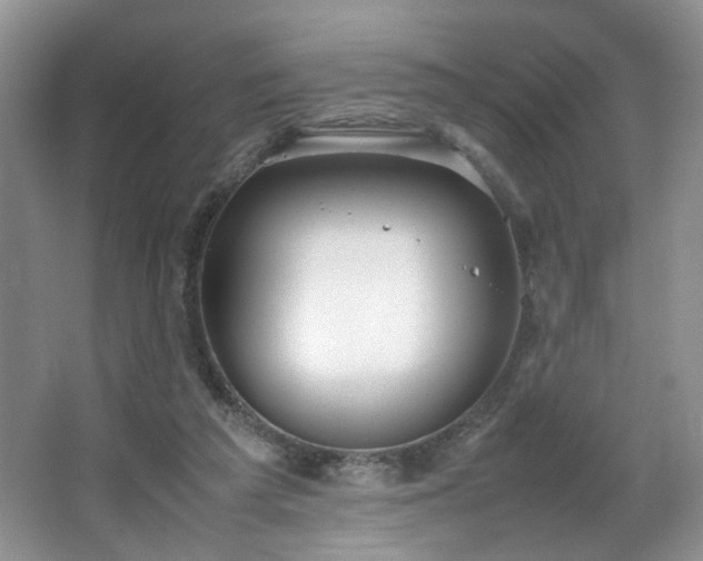 X0000064730209200602101158