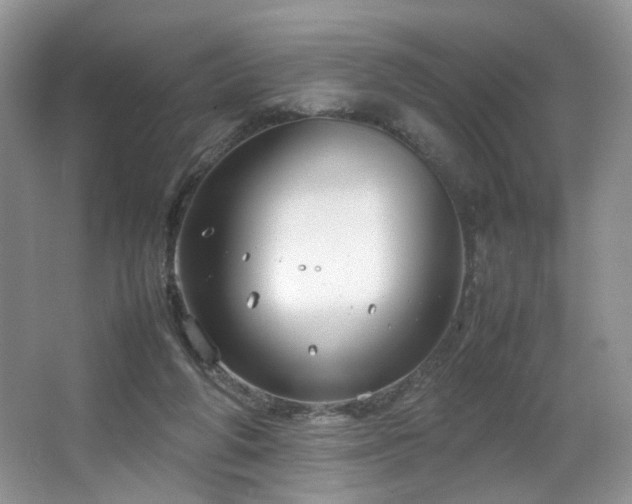 X0000064730210200602101158