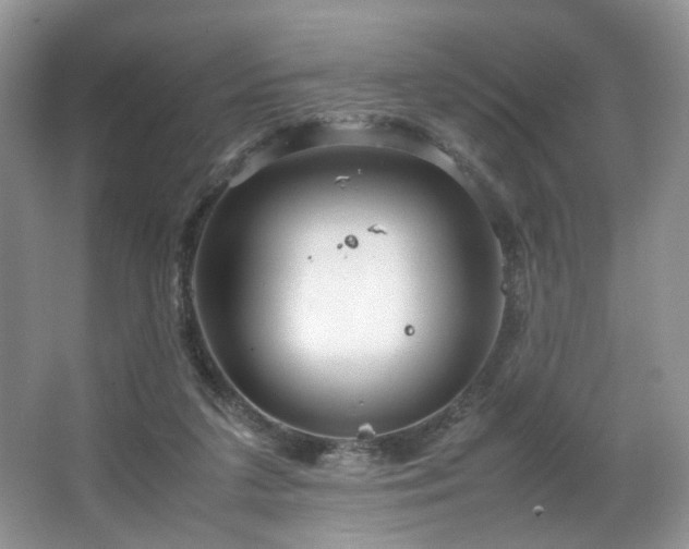 X0000064730211200602101158