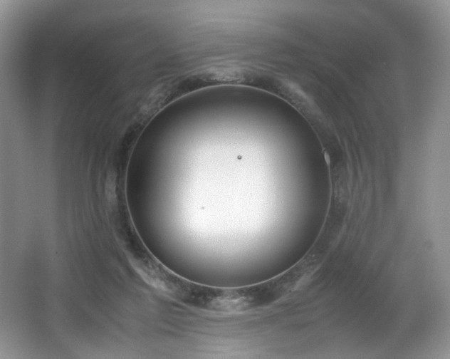 X0000064730213200602101158