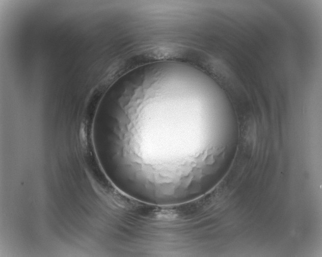 X0000064730214200602101158