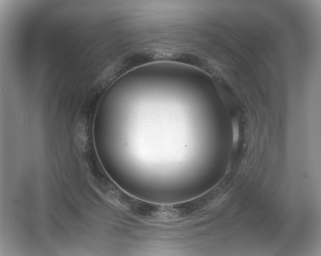 X0000064730215200602101158