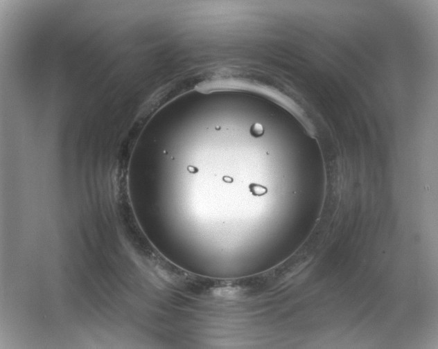 X0000064730216200602101158