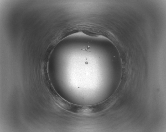 X0000064730217200602101158