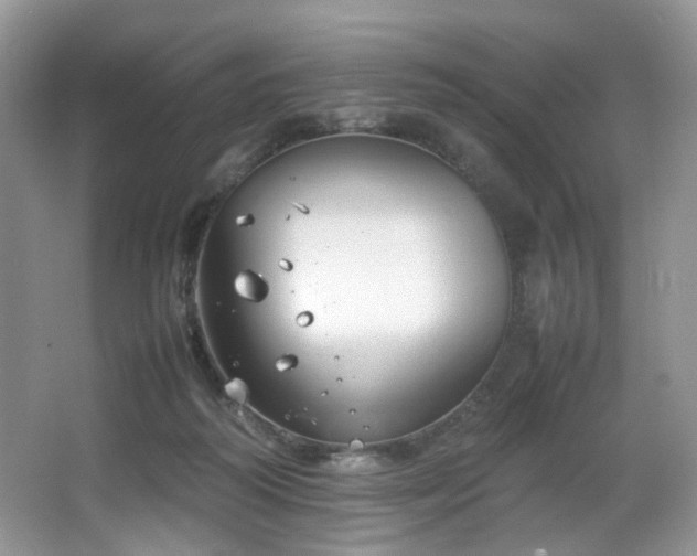 X0000064730218200602101158