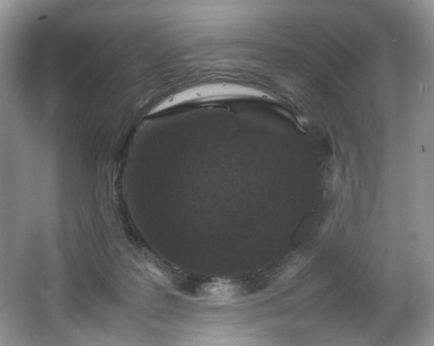 X0000064730219200602101158