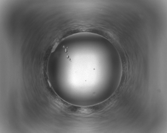 X0000064730221200602101158