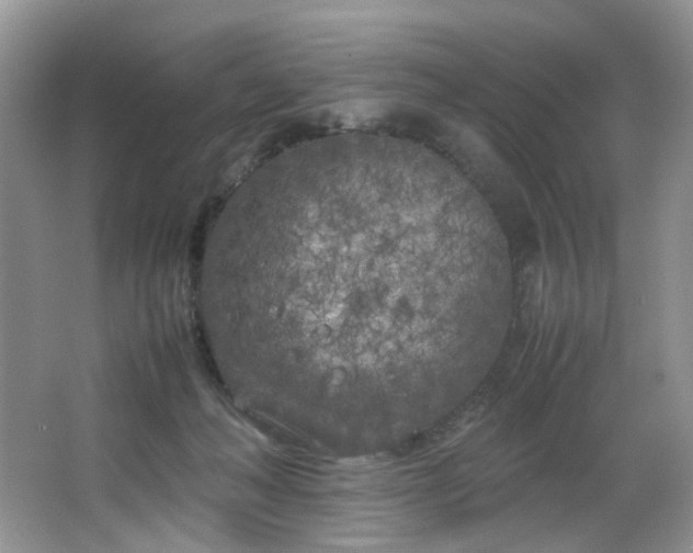 X0000064730222200602101158