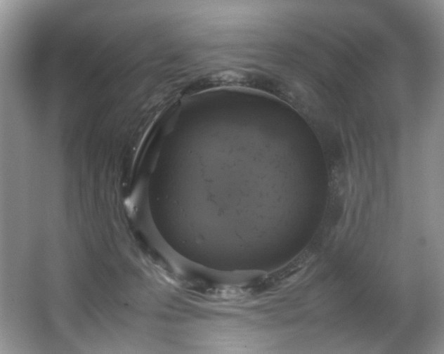 X0000064730223200602101158