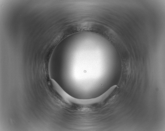 X0000064730224200602101158