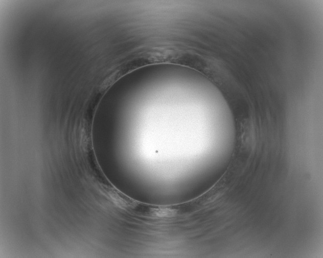 X0000064730226200602101158