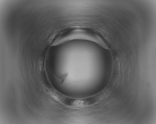 X0000064730227200602101158