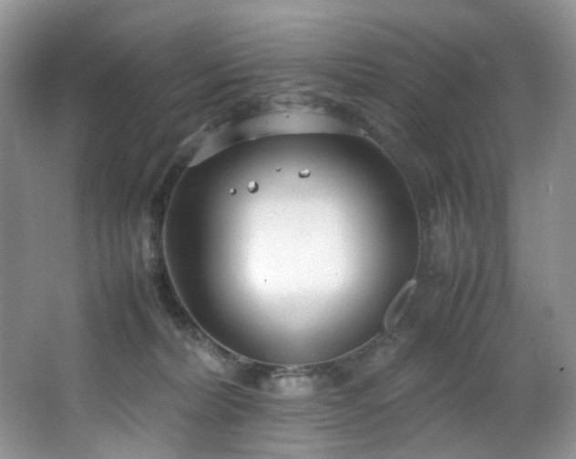 X0000064730228200602101158