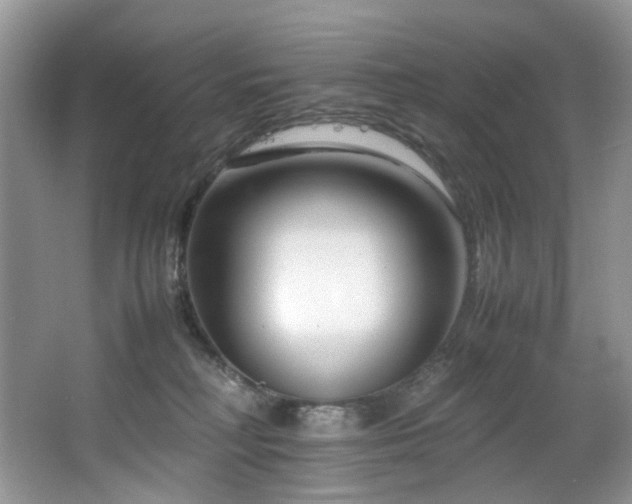 X0000064730230200602101158