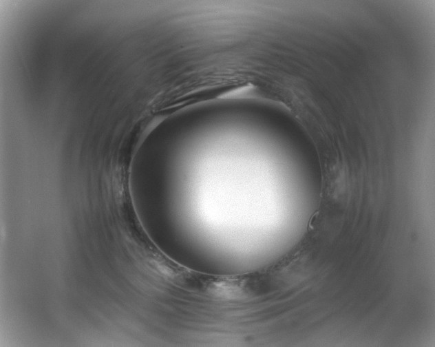 X0000064730232200602101158