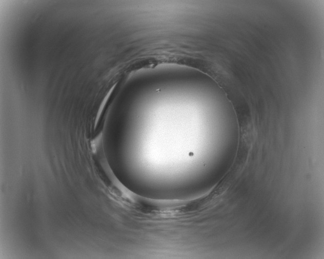 X0000064730233200602101158