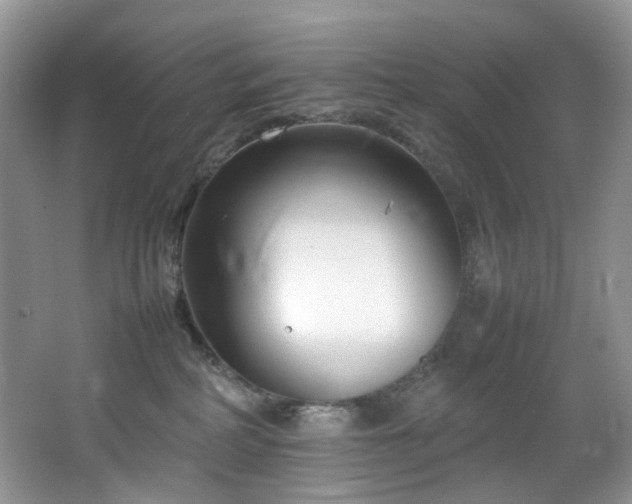 X0000064730234200602101158