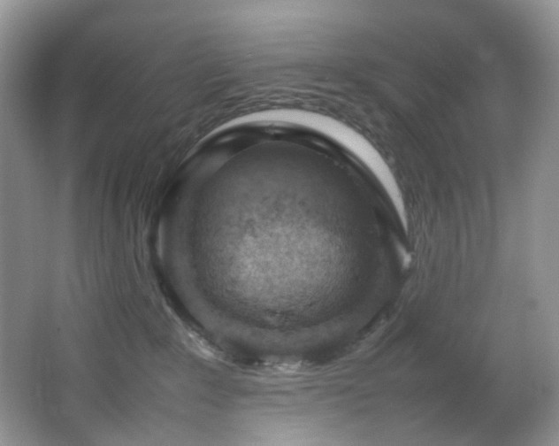 X0000064730235200602101158