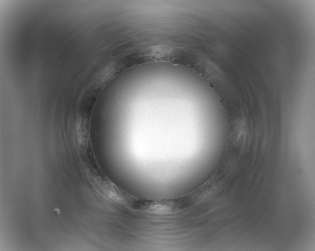 X0000064730236200602101158