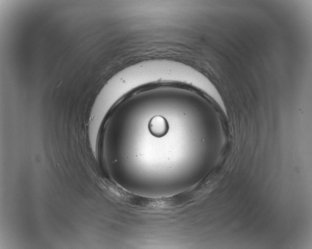 X0000064730237200602101158