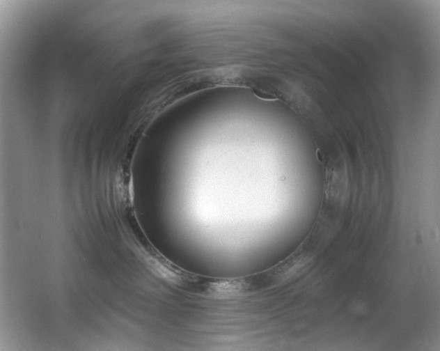 X0000064730238200602101158