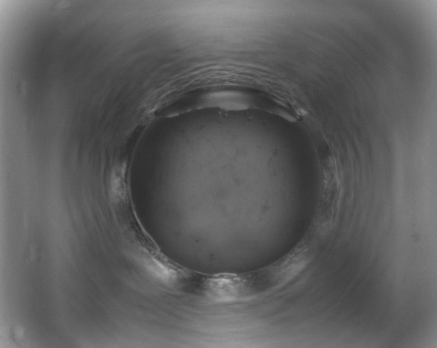 X0000064730239200602101158