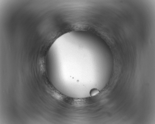 X0000064730240200602101158