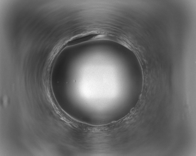 X0000064730241200602101157