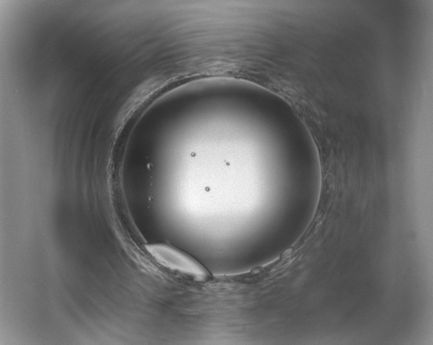 X0000064730242200602101157