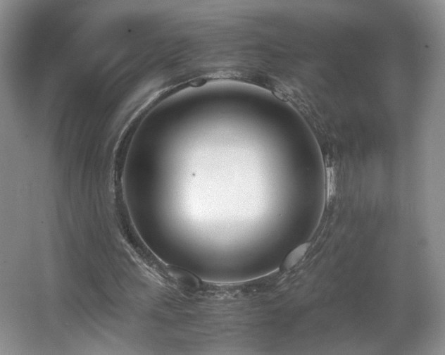 X0000064730243200602101157