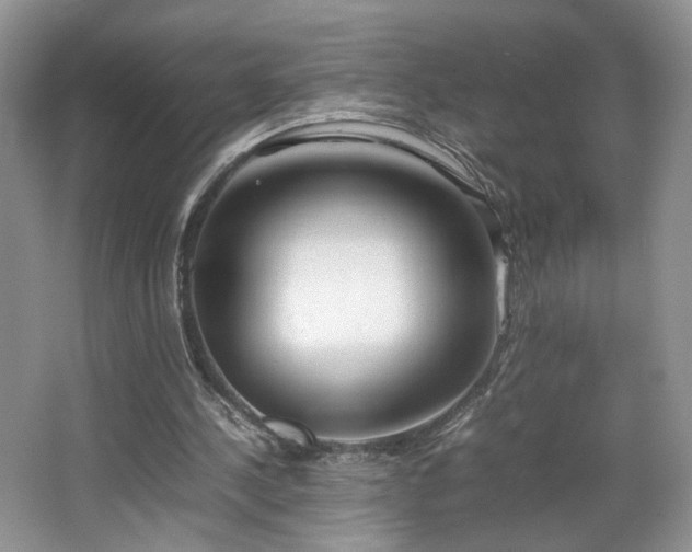 X0000064730244200602101157