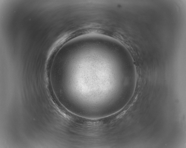 X0000064730245200602101157