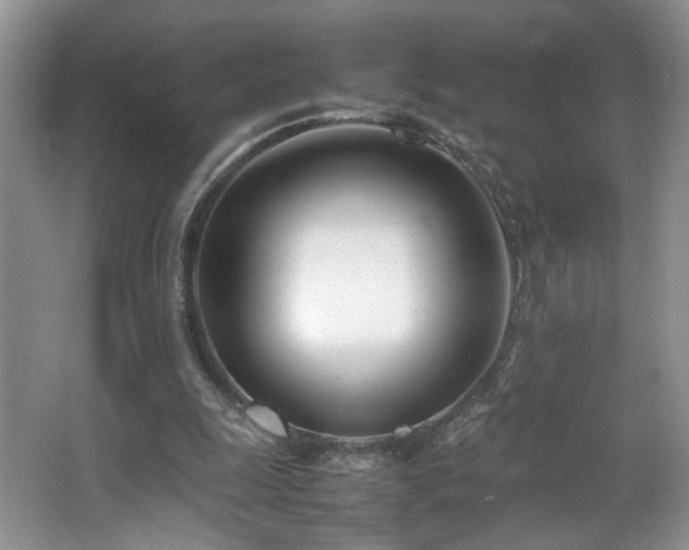 X0000064730247200602101157