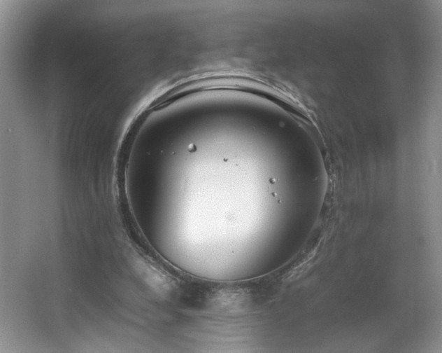 X0000064730248200602101157