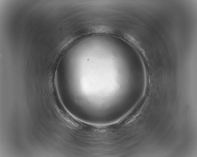 X0000064730249200602101157