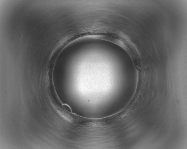 X0000064730250200602101157