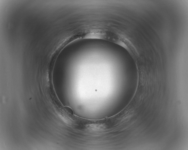 X0000064730251200602101157