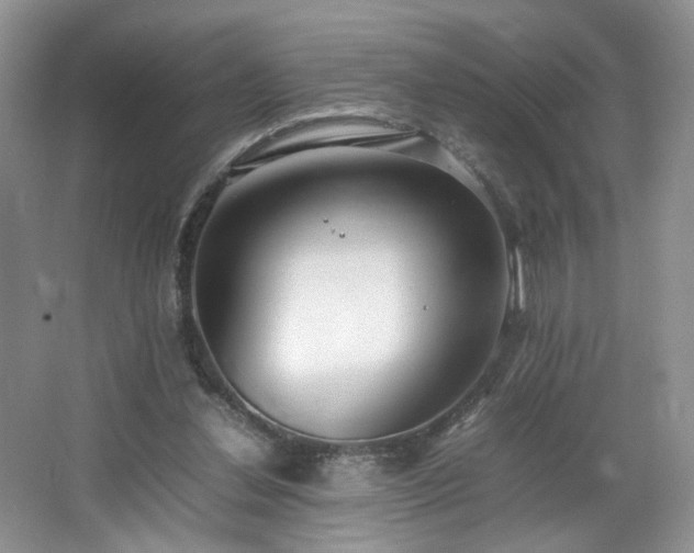 X0000064730252200602101157