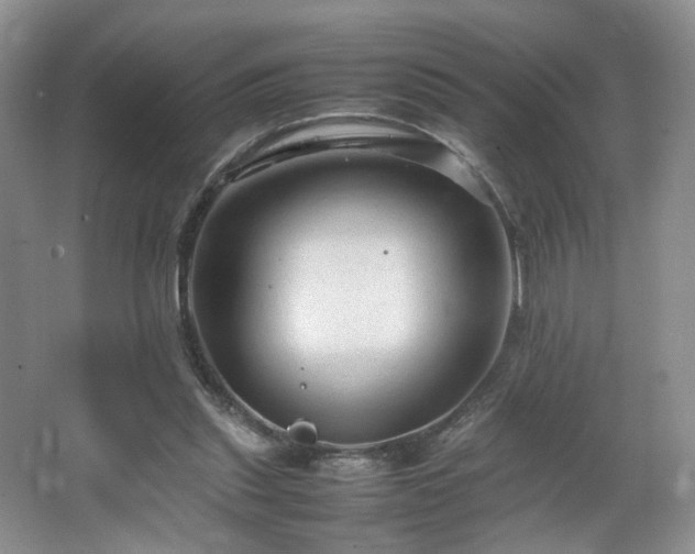 X0000064730253200602101157